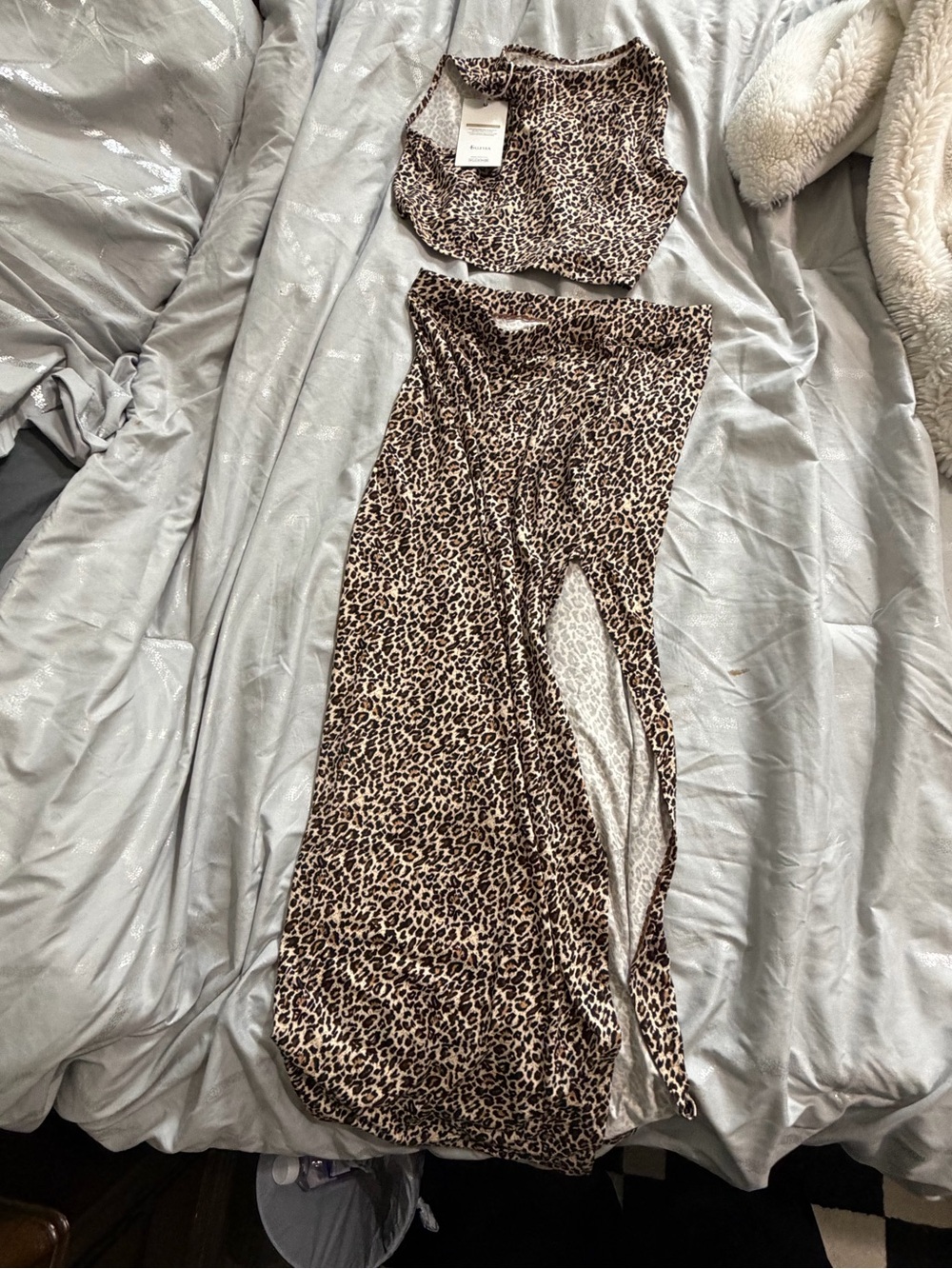 Cheetah set